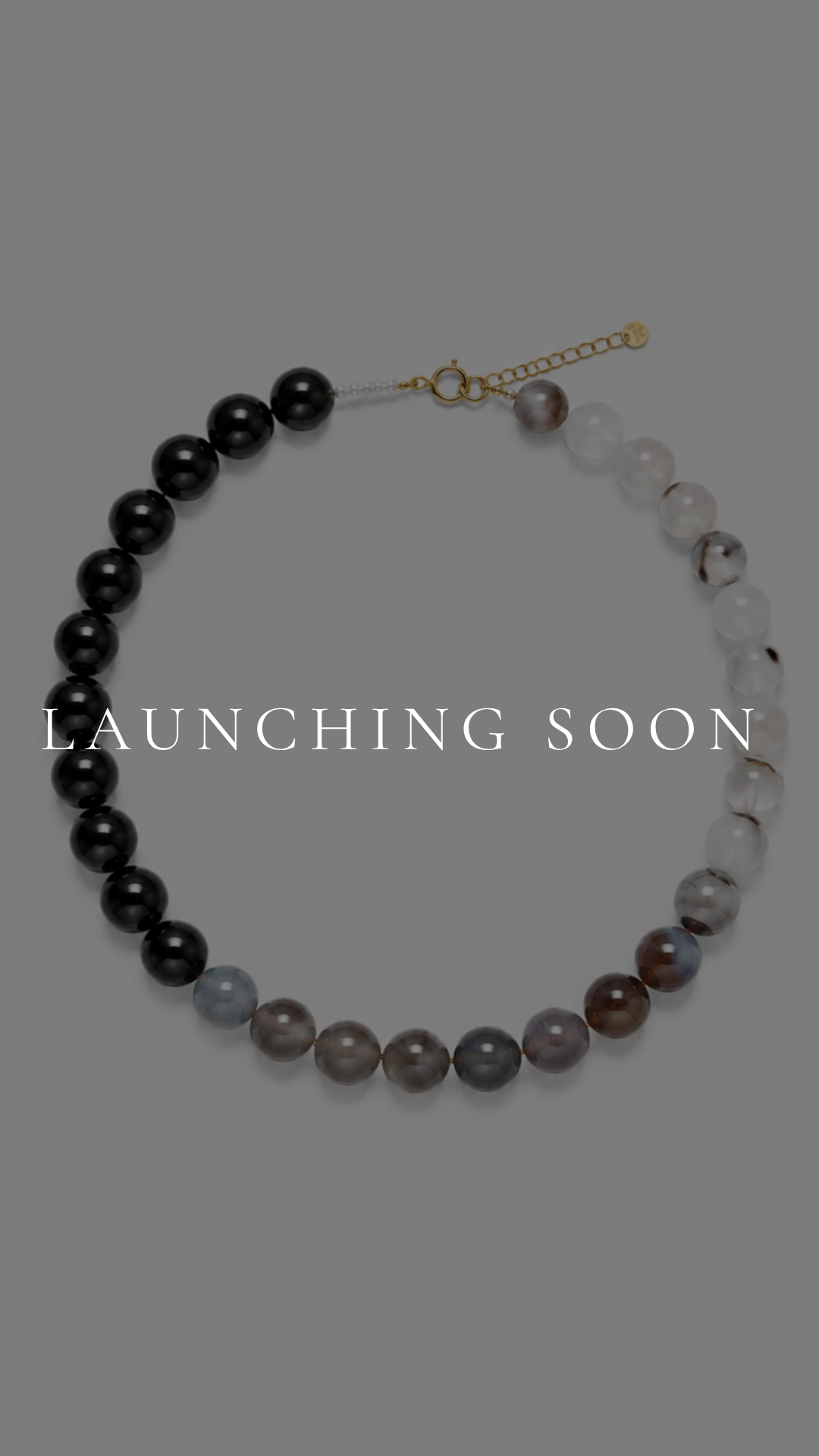 Duo necklace