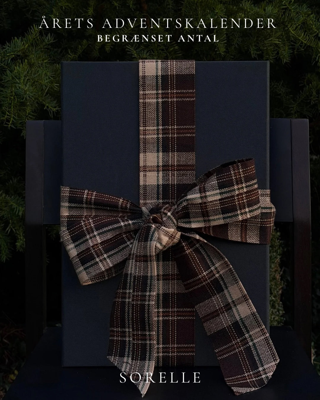 Adventskalender 2026