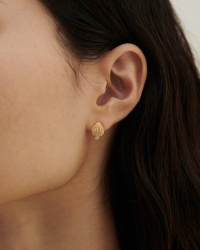 Sorelle ApS Shell earstick Earring