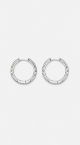 Orbit hoops